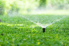 sprinkler watering lawn