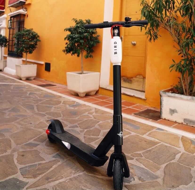 Bird Scooter on sidewalk