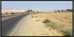 picture of landscape where trail would be installed