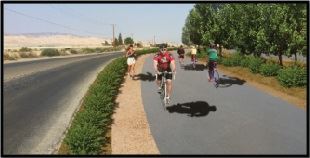 picture of landscape with trail installed